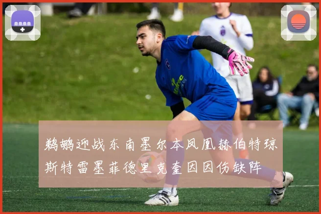 鹈鹕迎战东南墨尔本凤凰赫伯特琼斯特雷墨菲德里克奎因因伤缺阵