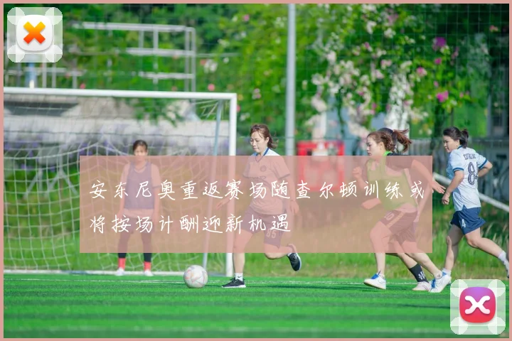 安东尼奥重返赛场随查尔顿训练或将按场计酬迎新机遇